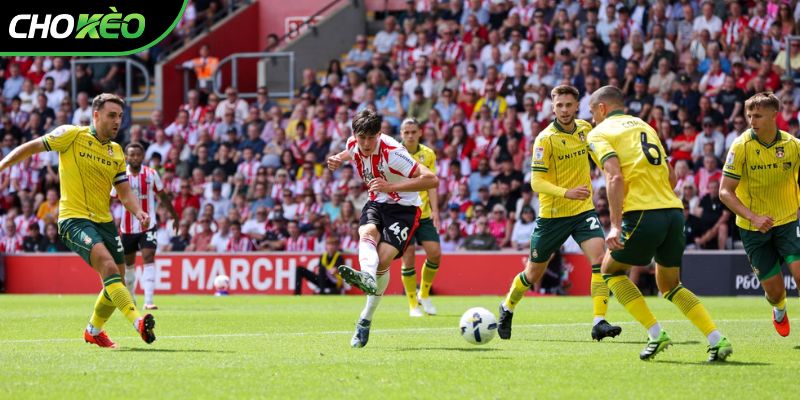 Thành tích so tài giữa Wrexham vs Southampton